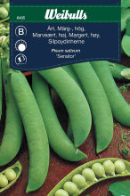 Marvært, høj 'Senator'